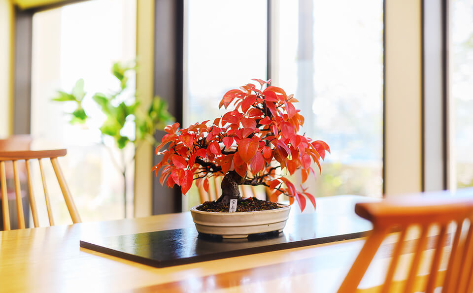 たかはしクリニック