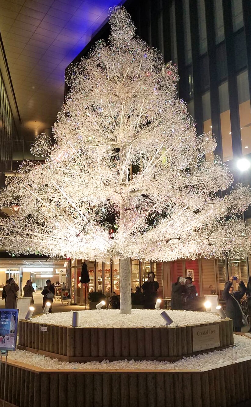 セミナー会場のクリスマスツリー