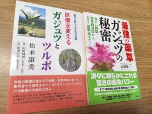 ガジュツとツルボ　薬草の医力を知る=ツルボ編=