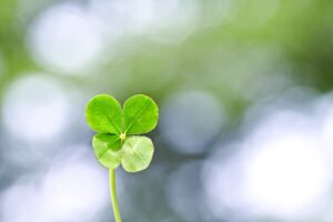 病は何かの代償と考えると必ずしも治すべきものではない