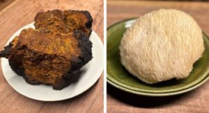 田舎の醍醐味。山は治療薬の宝庫！