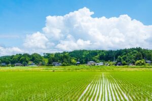 無医村に行く気概があるか