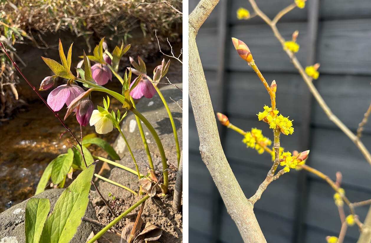 春の柔らかな日差しの中のお散歩