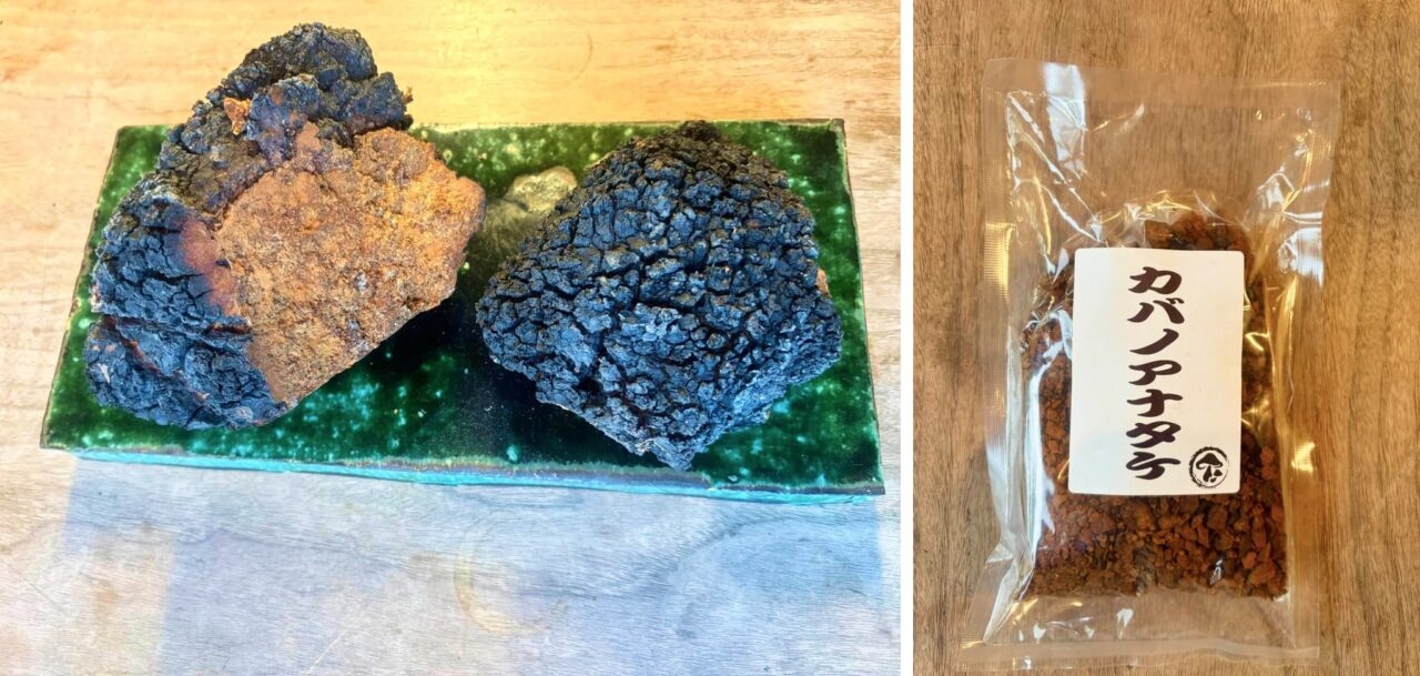 カバノアナタケ